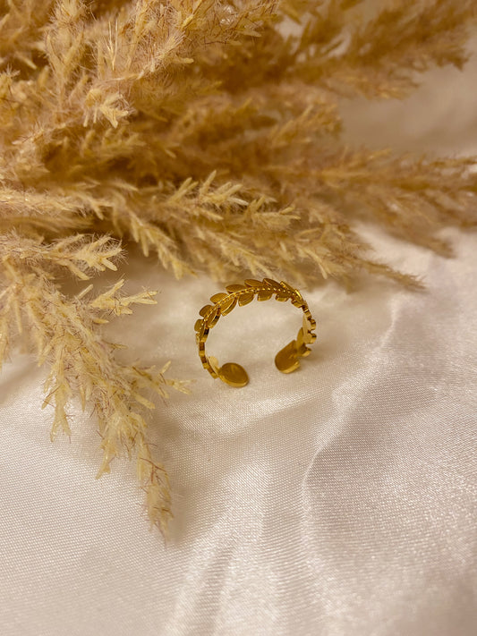 Robinia ring