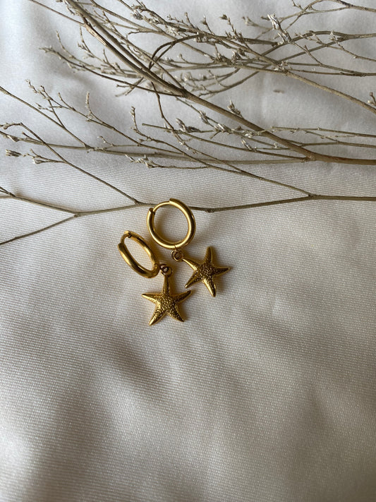 Starfish earrings